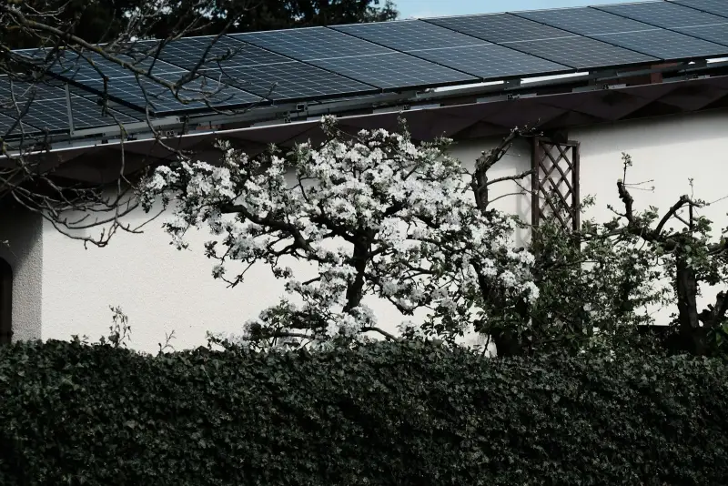 Schaduw Effect Zonnepanelen: Hoeveel Opbrengst